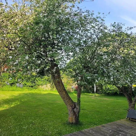 House Sea Vacation Denmark Daenemark Urlaub Sarup