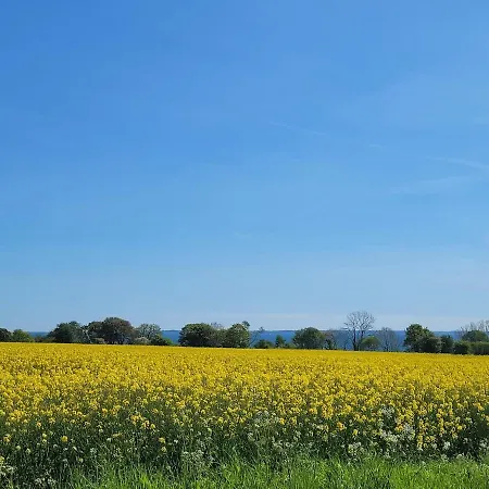 House Sea Vacation Denmark Daenemark Urlaub Sarup