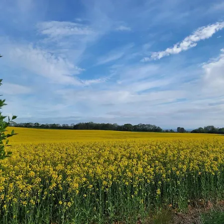 House Sea Vacation Denmark Daenemark Urlaub Vakantiehuis