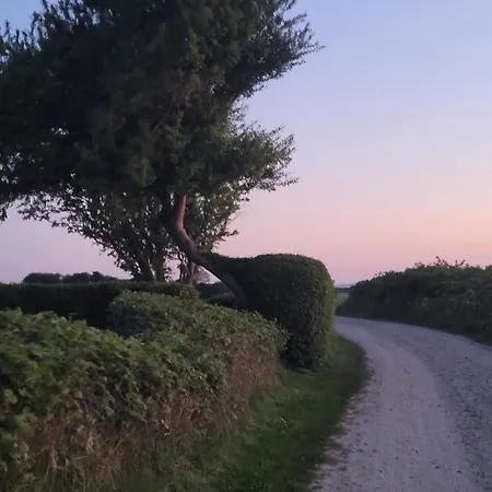 בית נופש House Sea Vacation Denmark Daenemark Urlaub