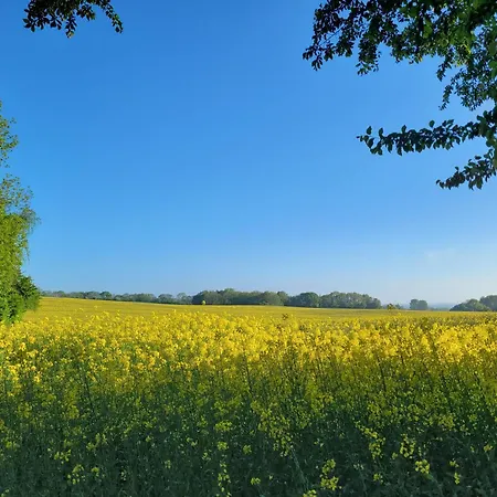 Vakantiehuis House Sea Vacation Denmark Daenemark Urlaub *